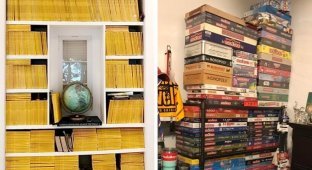 Amazing and cool collections that their owners are so proud of (19 photos)