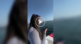 Быстрая доставка напитка взрослым