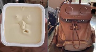 17 pictures proving that the emotions of some objects go off scale no worse than we have (18 photos)
