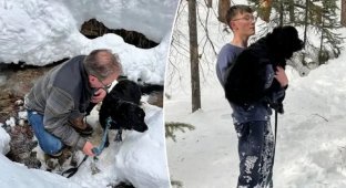 The dog spent 10 days in snow captivity (4 photos)