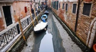 В Венеции пересохли каналы (3 фото)
