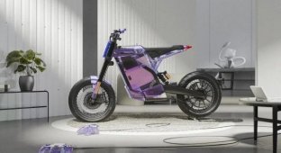 Dab Motors' Dab 1a model (a subsidiary of Peugeot) created the most beautiful electric bike (6 photos)