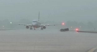 Блискавка вдарила в літак із пасажирами у США (2 фото + 1 відео)