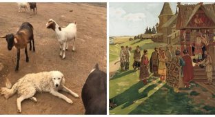 8 исторических фактов, в которые невозможно поверить, но они реальны (9 фото)