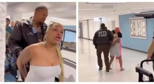 Пассажирка попыталась станцевать тверк во время задержания (2 фото + 1 видео)