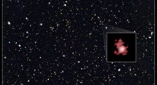 The James Webb Telescope found the oldest black hole (photo)