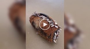 Колонка несколько месяцев находилась в воде и до сих пор работает
