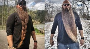 История о бороде, которая сделала своего хозяина богатым и счастливым (12 фото + 1 видео)