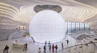 В Китае появилась футуристическая библиотека (12 фото)