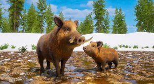 The next game of the year is Wild Terrain, where you play as a wild boar in a post-apocalyptic forest (8 photos + video)