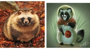 8 цікавих фактів про тануки - загадкових зберігачів японських лісів (9 фото)