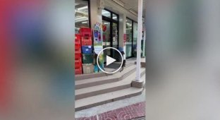 В Таиланде обезьяны совершили набег на супермаркет