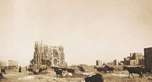 Кладка на века: как выглядел собор Саграда Фамилия, когда у Гауди еще были чертежи (фото)