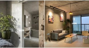 In China, a new style in interior design is gaining popularity (6 photos)