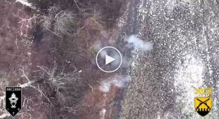 A Russian soldier vainly begs for mercy from a Ukrainian drone in a field in Kursk region