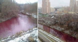 Зловещие воды: река в центре Кемерова окрасилась в цвет то ли киселя, то ли крови (9 фото)