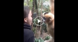 Funny reaction of a monkey to a girl's pierced tongue