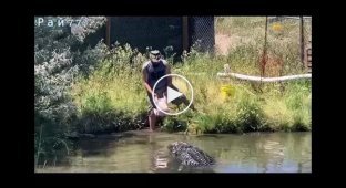 Alligator attacked tourist who was feeding him turkey at the farm