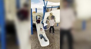 Красивое и удивительное (короткие видео). Выпуск 61