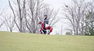 The Chinese made a robotic horse