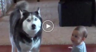 Husky skillfully parodies the sounds of a baby