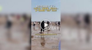 Необычное развлечение на пляже китайского города