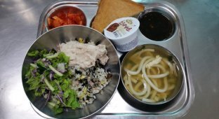 Что приносят с собой на обед в школу корейские дети (19 фото)