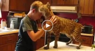 The boy and the lynx he saved from the fire