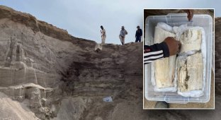 У Киргизії робітники каменоломні знайшли останки мамонта (4 фото)