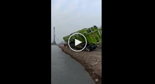 The crane was tired from work and lay down on his back
