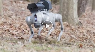 Robodog with a built-in flamethrower