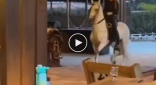Живая лошадь от Boston Dynamics