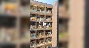 Взрывающая мозг многоэтажка в китайском городе Чэнду