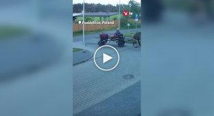 A Drunk Man Rides to the Police on a Horse Because He Was Banned from Driving