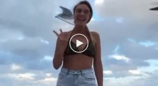 The girl became the target of an attack by a brazen seagull