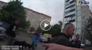 Украинским полицейским пришлось открыть огонь во время задержания пьяного водителя (мат)