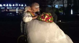 В Китае 84-летний мужчина написал признание в любви своей супруге на 218-метровом небоскребе (2 фото)