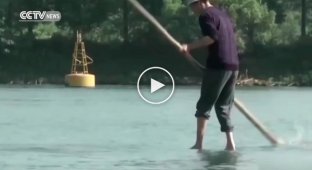 Китаец ежедневно плавает на работу на бамбуковой палке