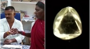 Индианка нашла алмаз в деревне - и собирается оплатить свадьбы детям (5 фото + 1 видео)