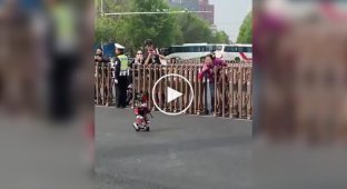 Миниатюрный робот прославился после забега