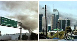 An illegal cannabis farm caught fire in Los Angeles, and the city was covered in a cloud of “happy” smoke (3 photos + 1 video)