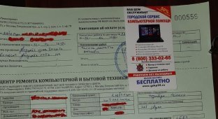 В Петербурге осудили компьютерного мастера, обобравшего пенсионера (1 фото)