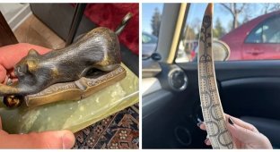 12 штуковин, которые невозможно опознать без подключения коллективного разума (20 фото)