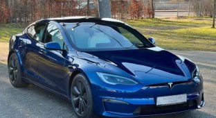 Продажи Tesla продолжают рекордно падать (1 фото)