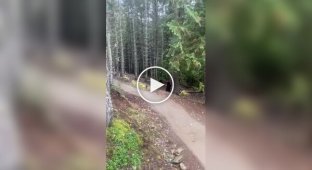 Cyclists scared the bear