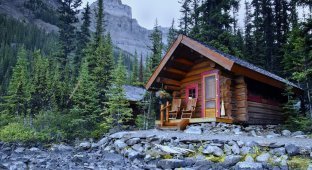 30 домиков в лесу, после которых вам захочется уехать из города (30 фото)