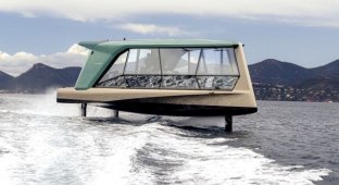 BMW showed a modern hydrofoil electric boat The Icon (2 photos)