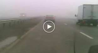Самоубийца на дороге
