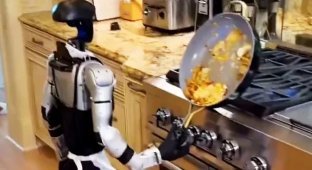Cooks, your jobs are safe! A robot failed a simple kitchen task (5 photos + 2 videos)