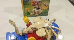 You can make a facehugger from Alien from the Lego set “Cute Rabbit” (4 photos + video)